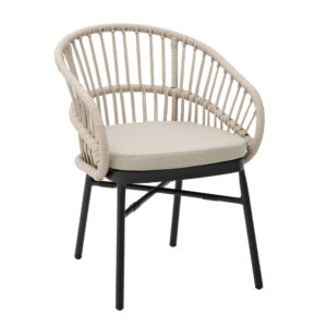 22 0193 v16b9 first 1 300x300